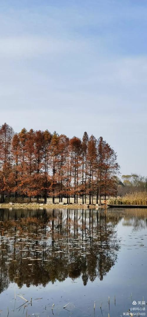 栈流馨趋往步几树红杉映紫霞一曲小路问冬华二却把晴池舞正红窥窗欲问